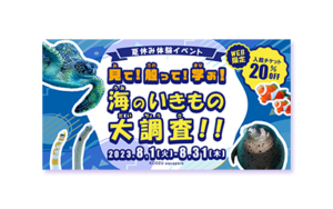 水族館イベント「海のいきもの大調査！！」のバナー