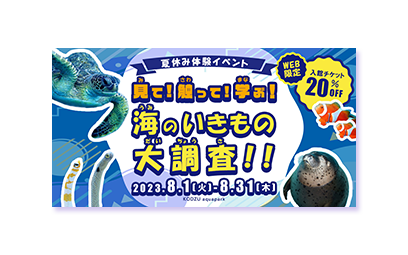 水族館イベント「海のいきもの大調査！！」のバナー